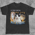 Cat Meme Y2k Retro Unisex T-shirt, Sweatshirt, Hoodie - T-Shirt, Sweatshirt, Hoodie