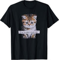 I'm Boutta Crash Out Cat Funny Meme Cat Pet Lover Unisex T-shirt, Sweatshirt, Hoodie, Long Sleeve Tee - T-Shirt, Sweatshirt, Hoodie