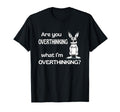 Are You Overthinking What Im T-Shirt - Streetwear Style for Adults - T-Shirt, Sweatshirt, Hoodie