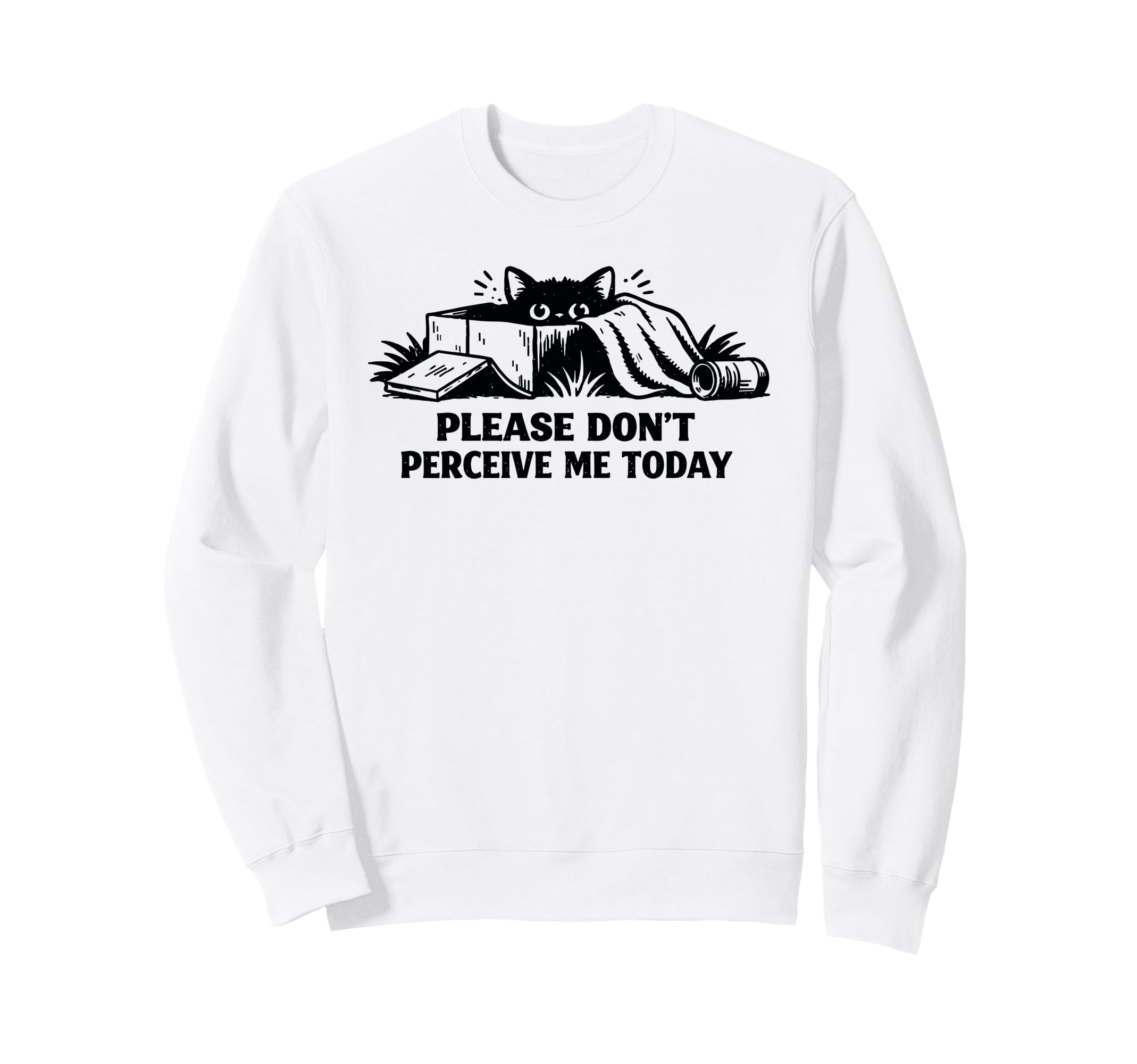 Please Dont Perceive Me Today Sweatshirt - Casual Everyday Wear Men Women - T-Shirt, Sweatshirt, Hoodie