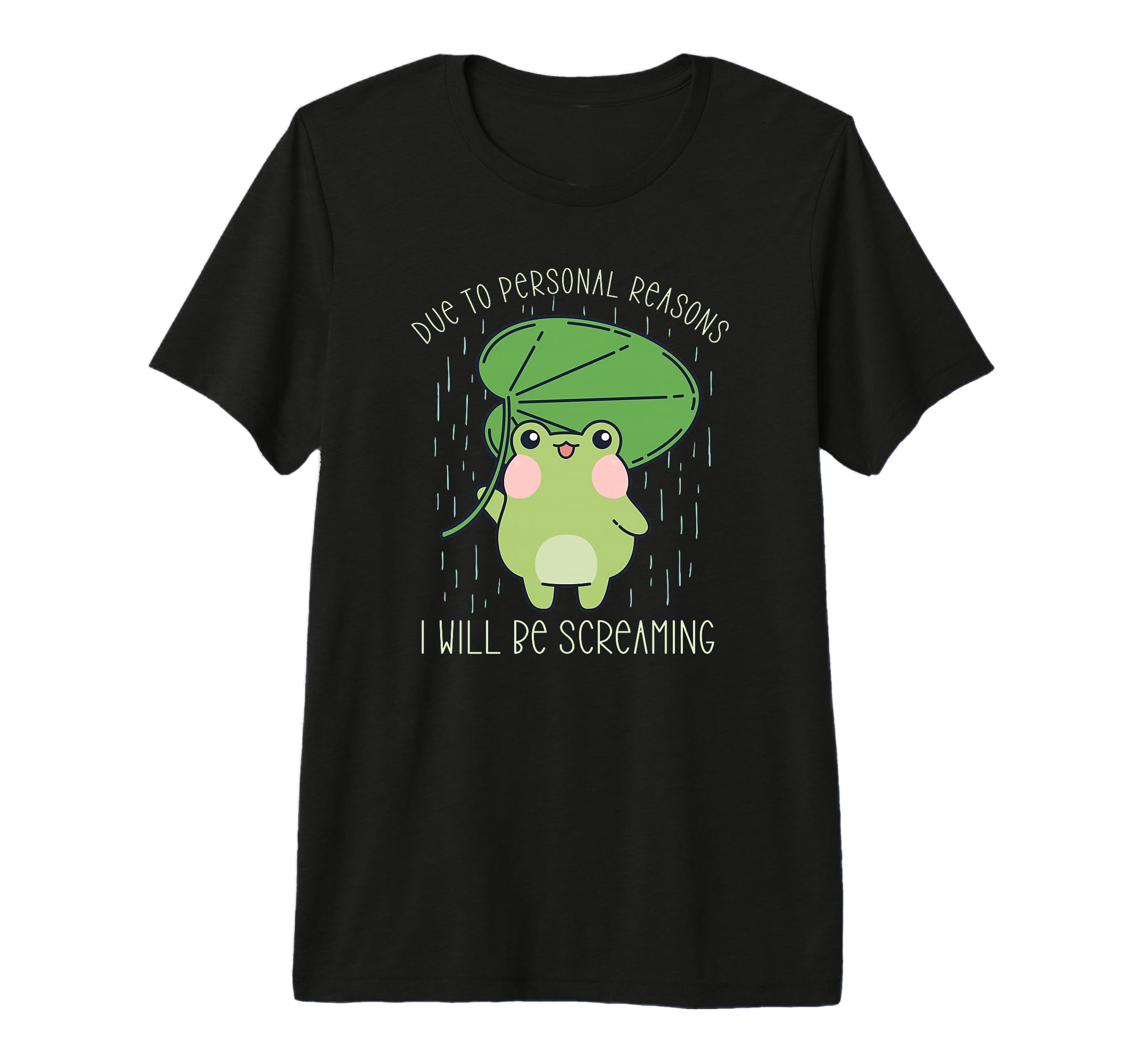 Frog Due To Personal Reasons I Will T-Shirt - Minimalist Print for Adults - T-Shirt, Sweatshirt, Hoodie