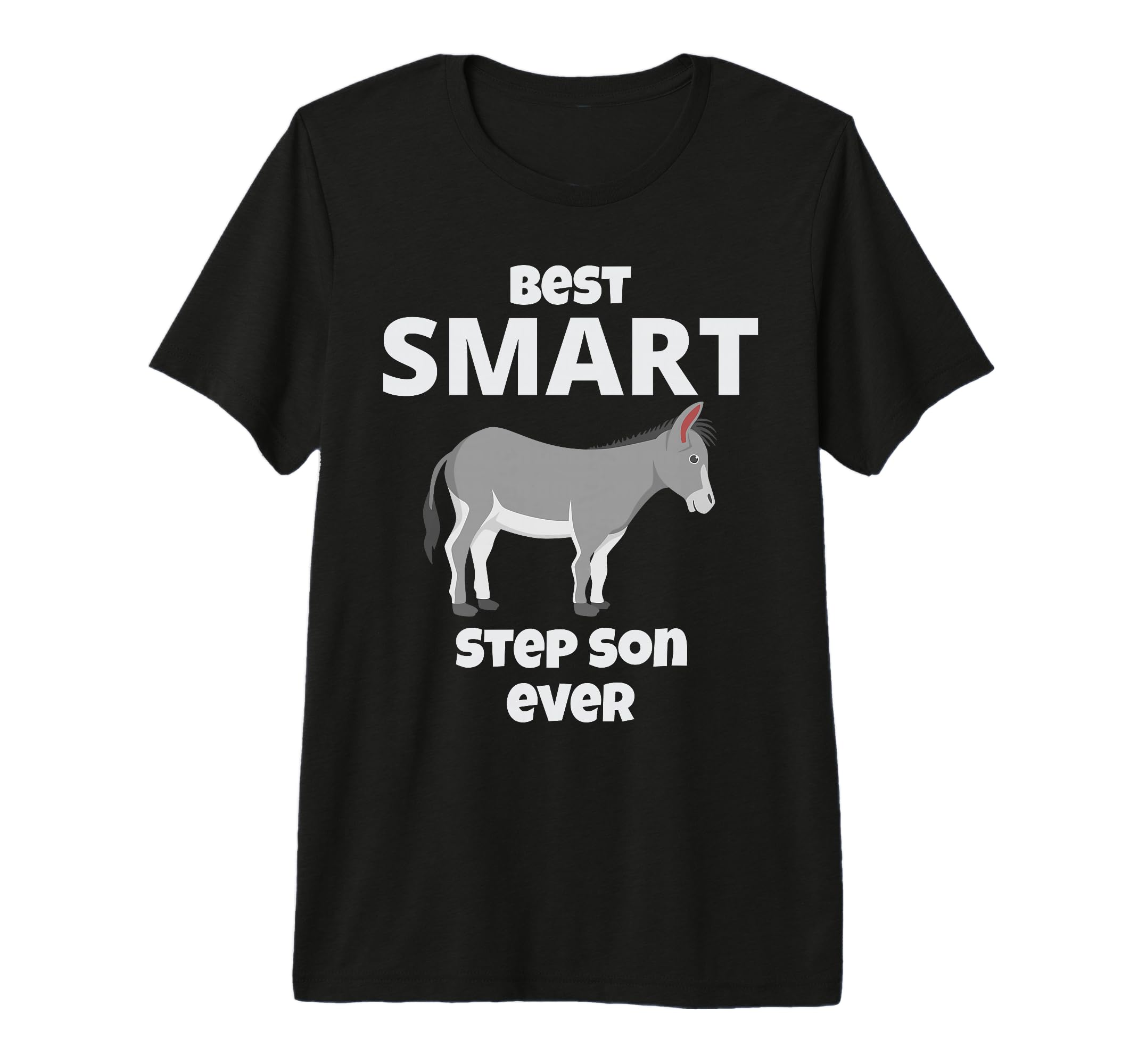 Best Smart Ass Step Son Ever Funny T-Shirt - Aesthetic Graphic for Adults - T-Shirt, Sweatshirt, Hoodie
