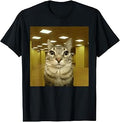 Cat in The Backrooms Liminal Space Funny Cat Meme T-Shirt Unisex T-shirt, Sweatshirt, Hoodie, Long Sleeve Tee - T-Shirt, Sweatshirt, Hoodie