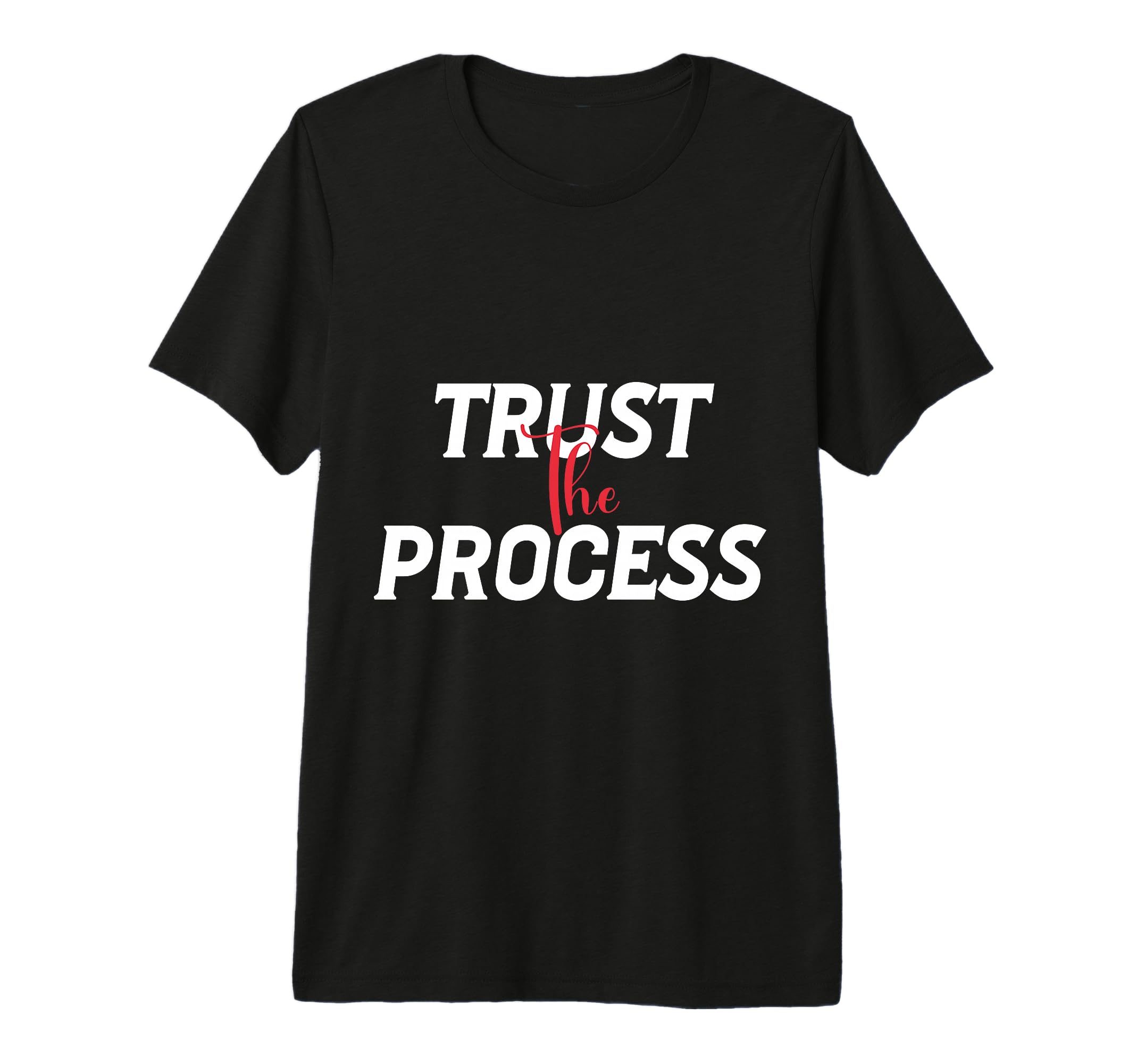 Trust Process Tri Blend T-Shirt - Fun Novelty Design for Adults - T-Shirt, Sweatshirt, Hoodie
