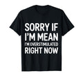 Sorry If Im Mean Im Overstimulated T-Shirt - Novelty Apparel for Adults - T-Shirt, Sweatshirt, Hoodie