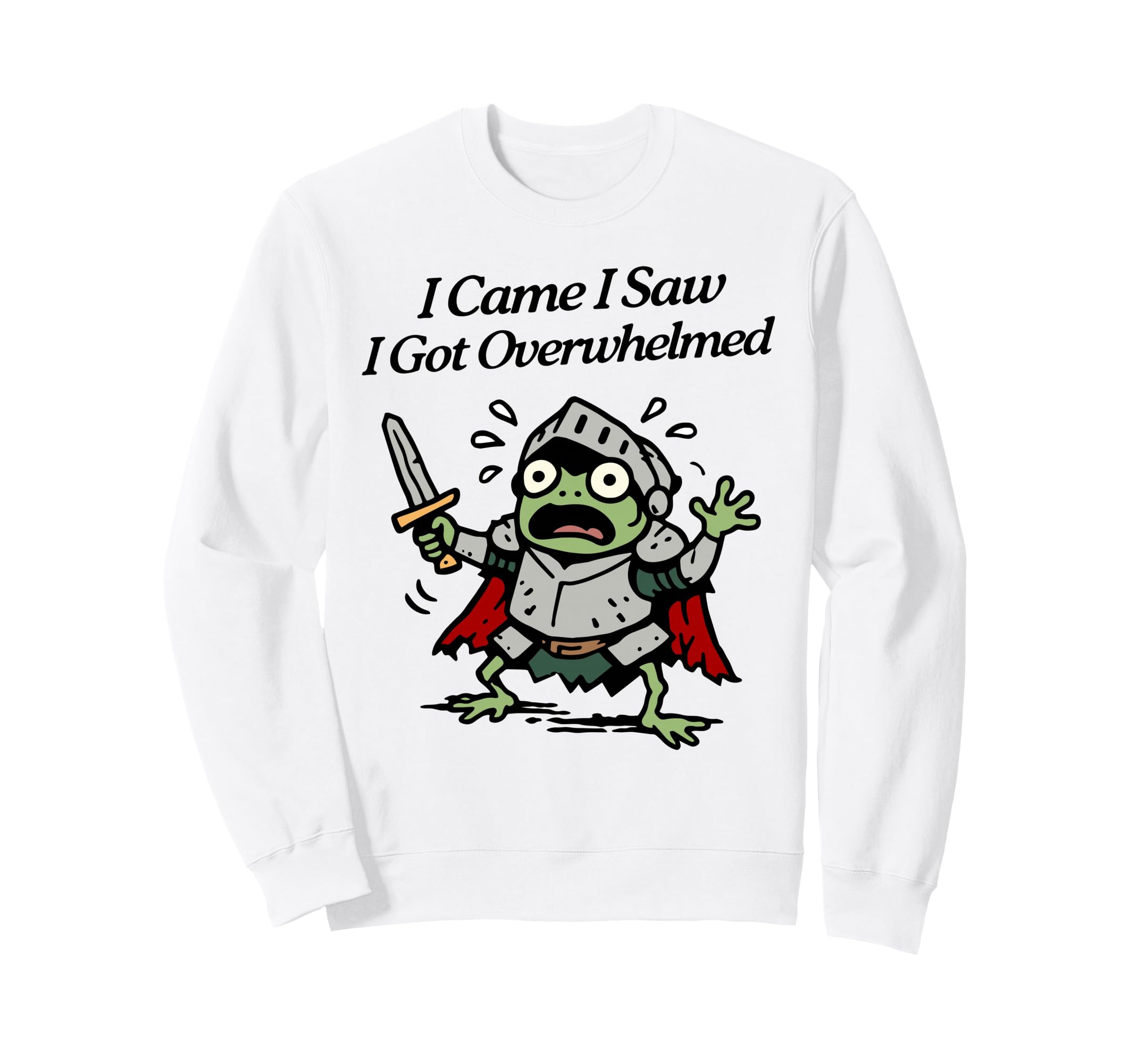 I Came I Saw I Got Overwhelmed Tiny Sweatshirt - Streetwear Style Unisex - T-Shirt, Sweatshirt, Hoodie