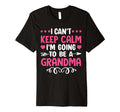 I Cant Keep Calm Im Going To Be T-Shirt - Aesthetic Graphic for Adults - T-Shirt, Sweatshirt, Hoodie