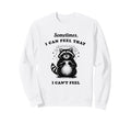 Funny Raccoon Sometimes I Can Sweatshirt - Aesthetic Graphic for Adults - T-Shirt, Sweatshirt, Hoodie