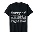 Sorry If Im Mean Im Overstimulated T-Shirt - Unique Graphic for Adults - T-Shirt, Sweatshirt, Hoodie