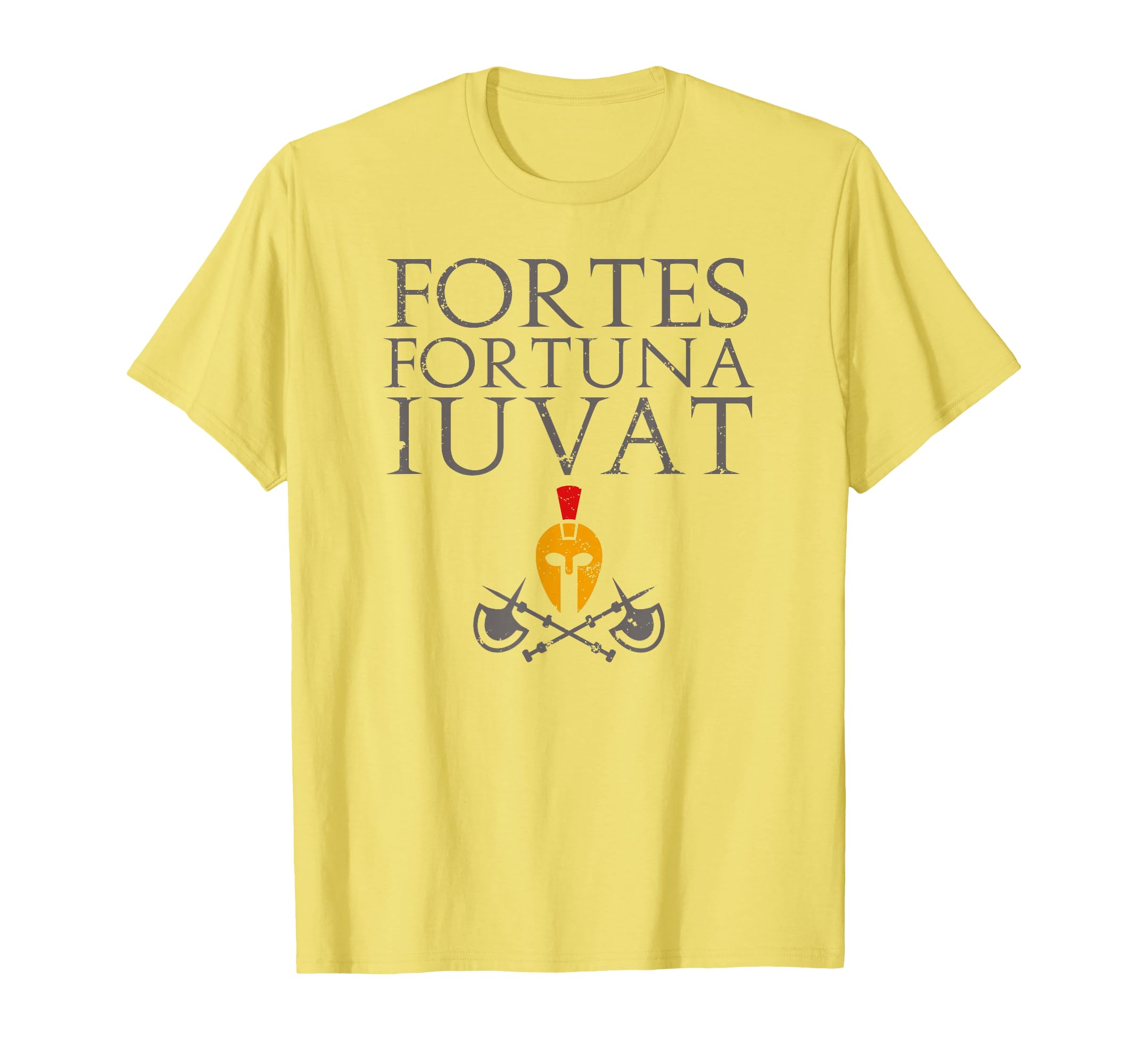 Fortes Fortuna Iuvat Virgil Aeneid T-Shirt - Casual Everyday Wear Unisex - T-Shirt, Sweatshirt, Hoodie