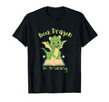 Book Dragon Training T-Shirt - Minimalist Print Men Women - T-Shirt, Sweatshirt, Hoodie