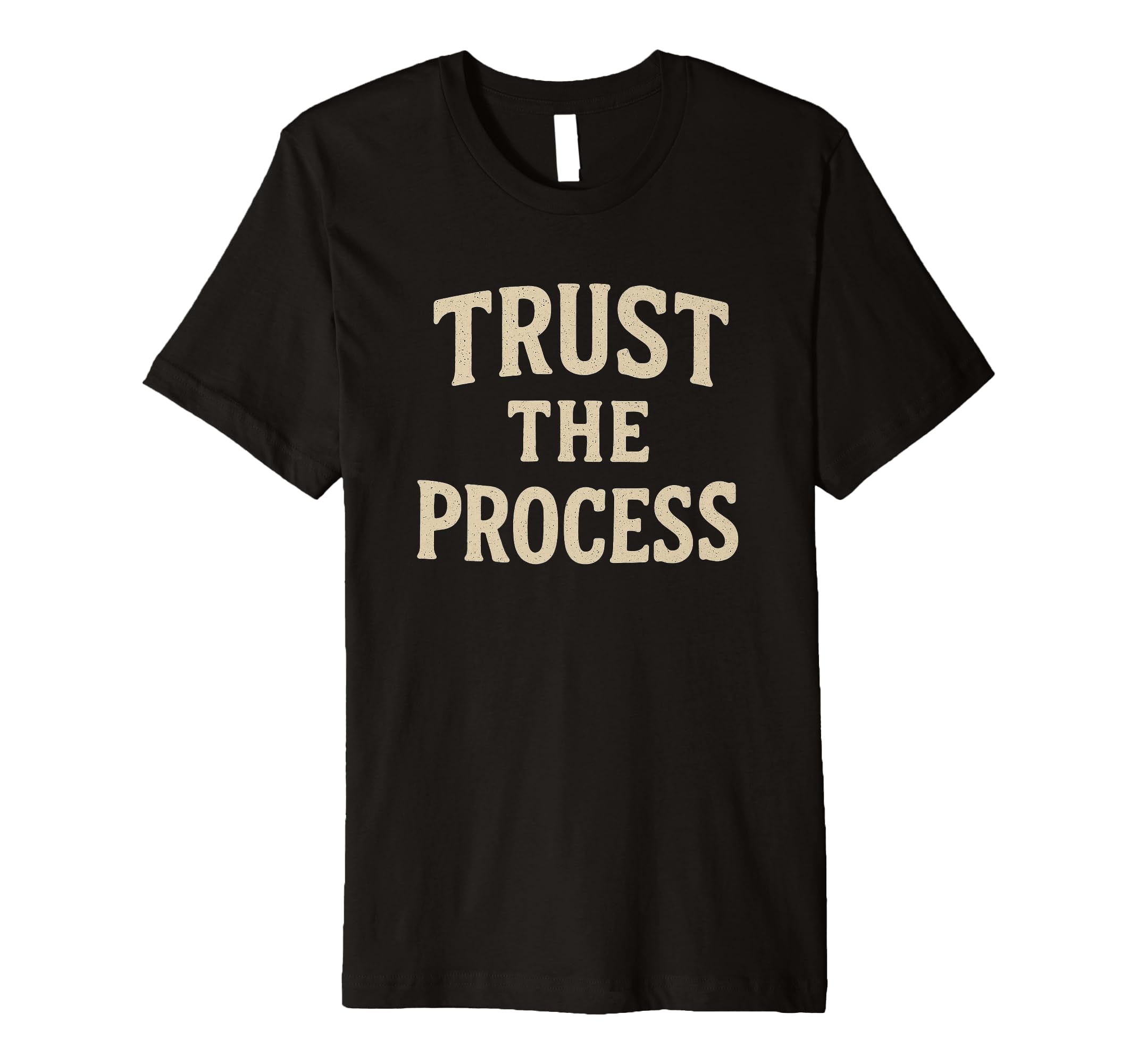 Trust Process Motivational Gym T-Shirt - Aesthetic Graphic for Adults - T-Shirt, Sweatshirt, Hoodie