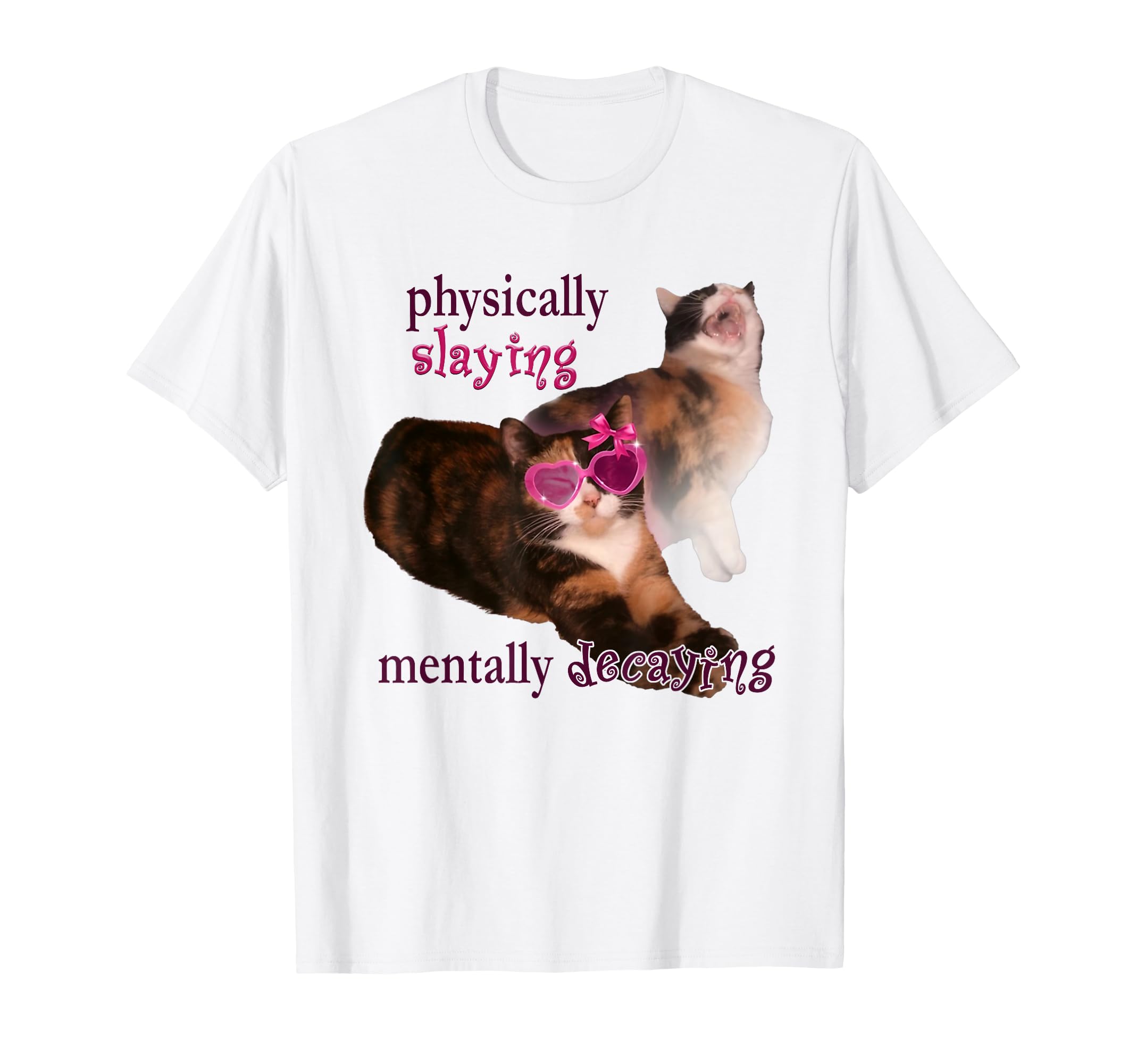 Cat Meme Physically Slaying Mentally T-Shirt - Streetwear Style Unisex - T-Shirt, Sweatshirt, Hoodie