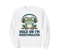 Hold Im Overstimulated Funny Sweatshirt - Aesthetic Graphic for Adults - T-Shirt, Sweatshirt, Hoodie