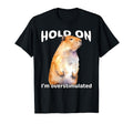 Funny Hold Im Overstimulated T-Shirt - Aesthetic Graphic for Adults - T-Shirt, Sweatshirt, Hoodie