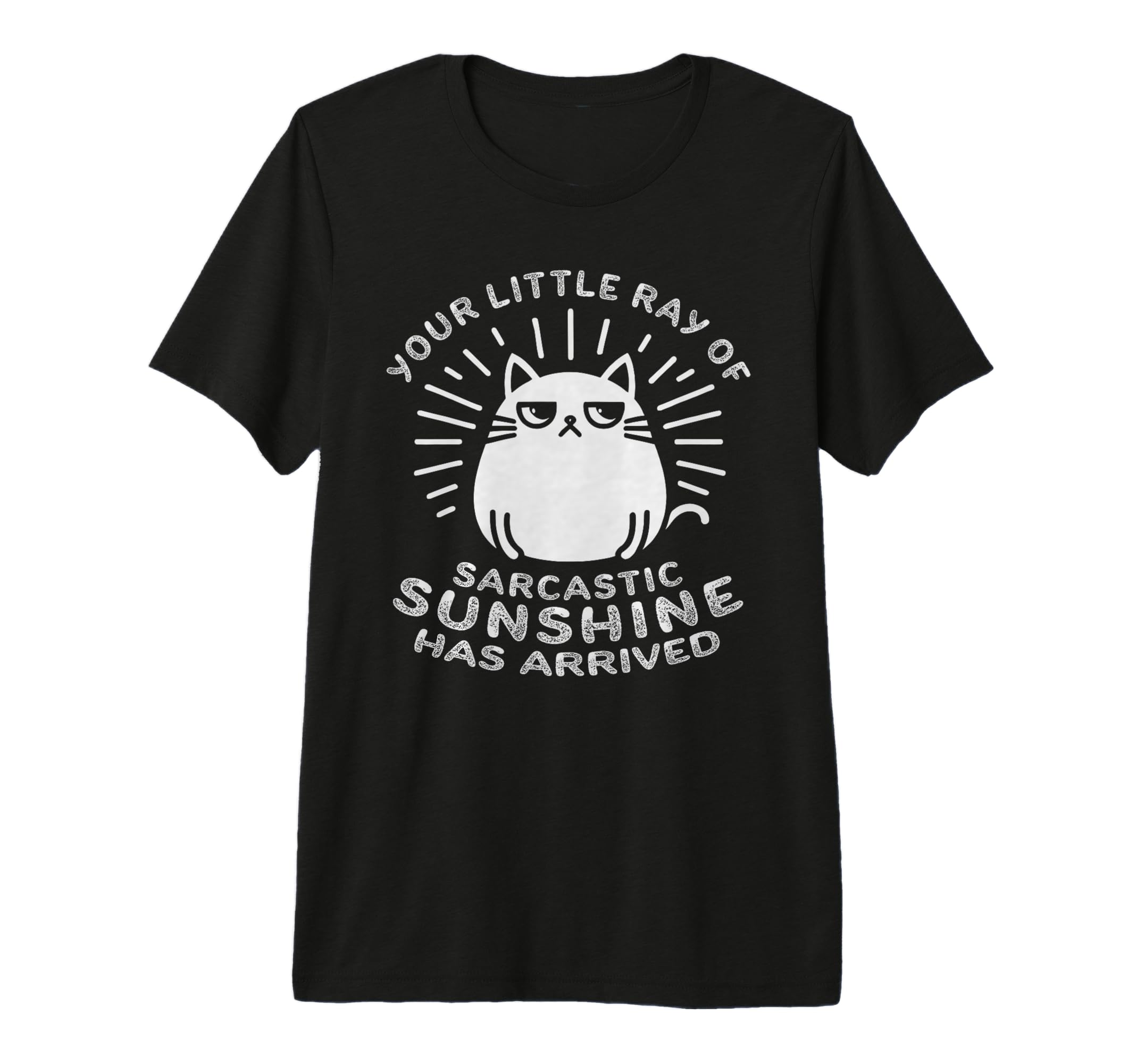 Funny Cat Attitude Little Ray T-Shirt - Casual Everyday Wear for Adults - T-Shirt, Sweatshirt, Hoodie