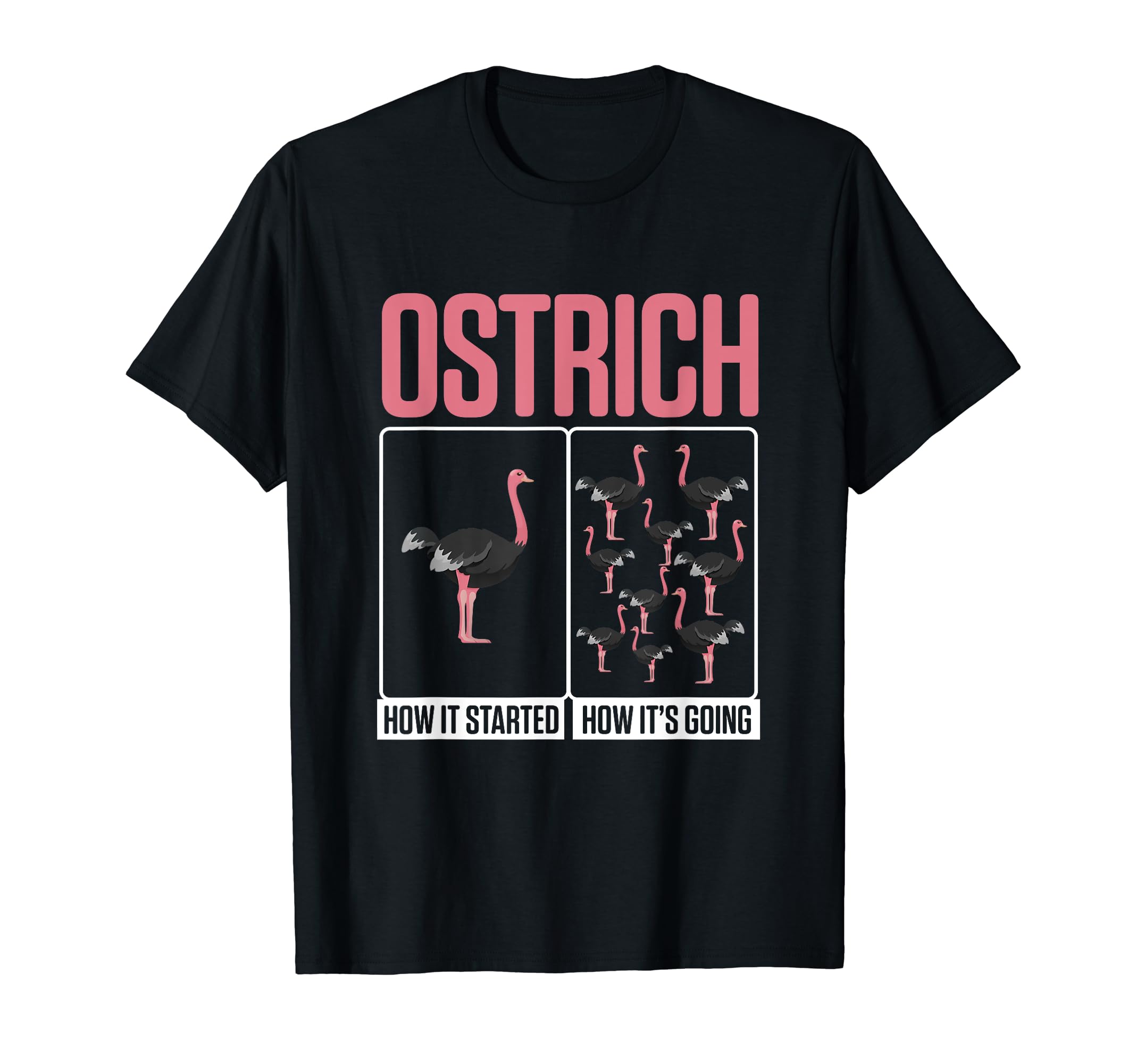 Zookeeper Safari Funny Ostrich How It T-Shirt - Trendy Graphic Men Women - T-Shirt, Sweatshirt, Hoodie