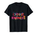 Choose Kindness Motivation Mental T-Shirt - Fun Novelty Design for Adults - T-Shirt, Sweatshirt, Hoodie