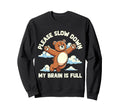 Please Slow Down My Brain Is Sweatshirt - Fun Novelty Design for Adults - T-Shirt, Sweatshirt, Hoodie