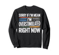 Sorry If Im Mean Im Sweatshirt - Fun Novelty Design for Adults - T-Shirt, Sweatshirt, Hoodie