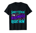 Sorry If Im Mean Im Overstimulated T-Shirt - Graphic Print for Adults - T-Shirt, Sweatshirt, Hoodie