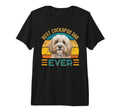 Best Cockapoo Dad Ever Dog Lover Tri T-Shirt - Streetwear Style Unisex - T-Shirt, Sweatshirt, Hoodie