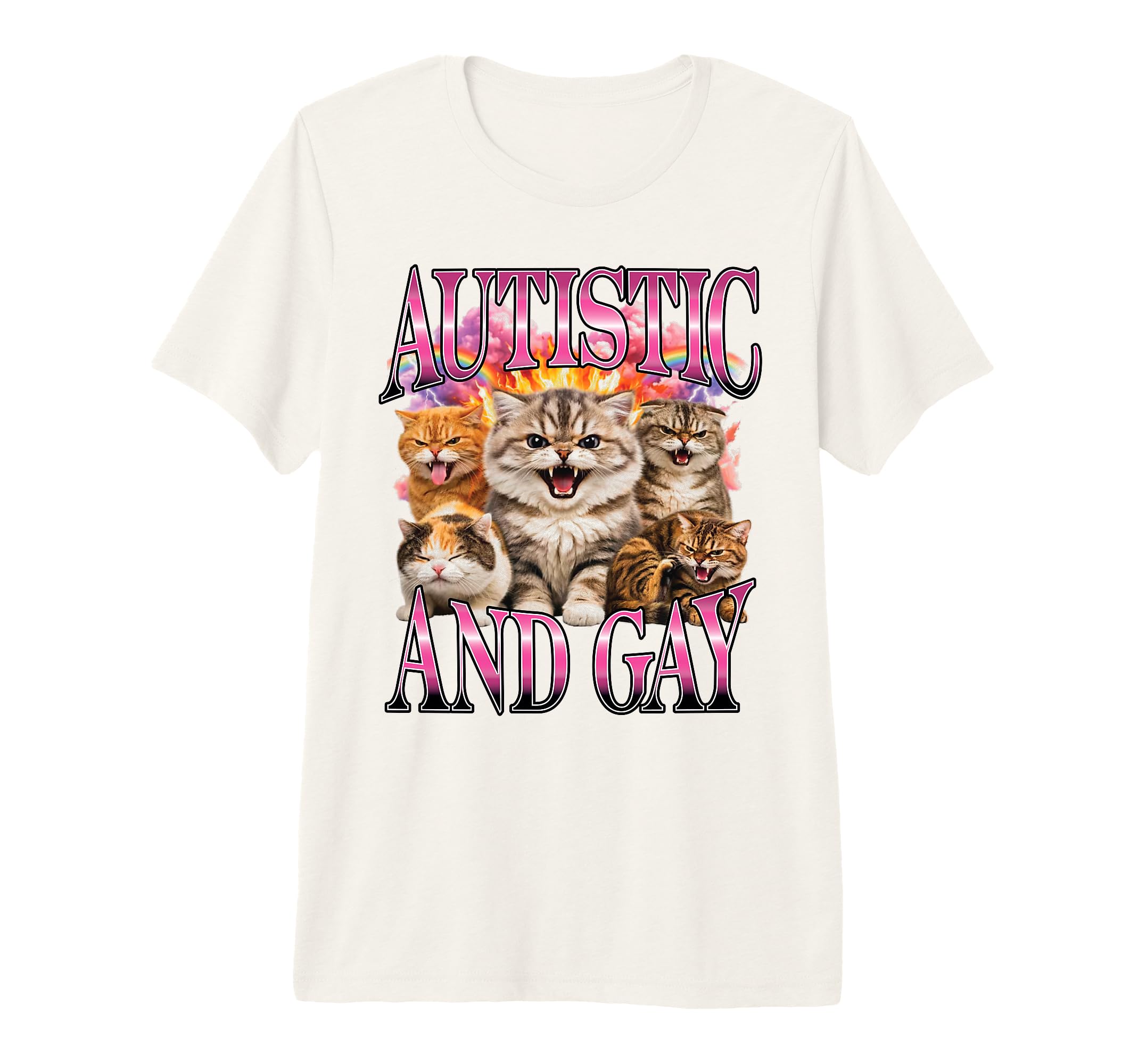 Autistic And Gay Hissing Cats Rainbow T-Shirt - Streetwear Style Men Women - T-Shirt, Sweatshirt, Hoodie