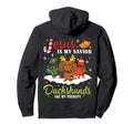 Jesus Is My Savior Dachshunds Are My Hoodie - Unique Graphic for Adults - T-Shirt, Sweatshirt, Hoodie