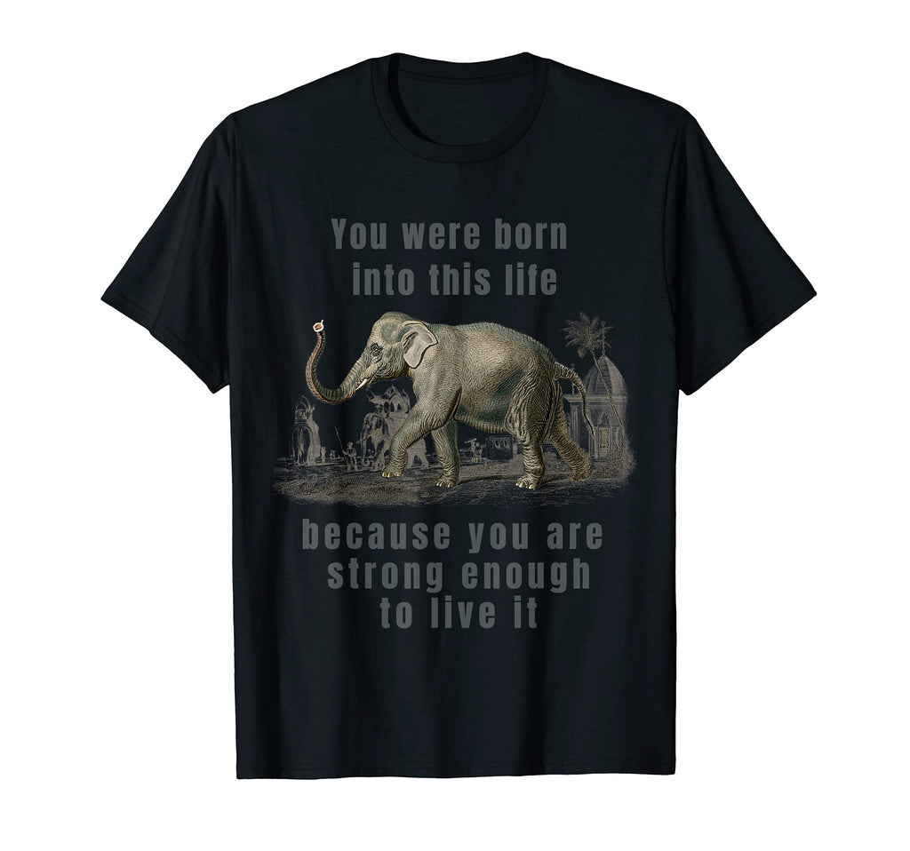 You Were Born Into This Life Because You T-Shirt - Novelty Apparel Unisex - T-Shirt, Sweatshirt, Hoodie