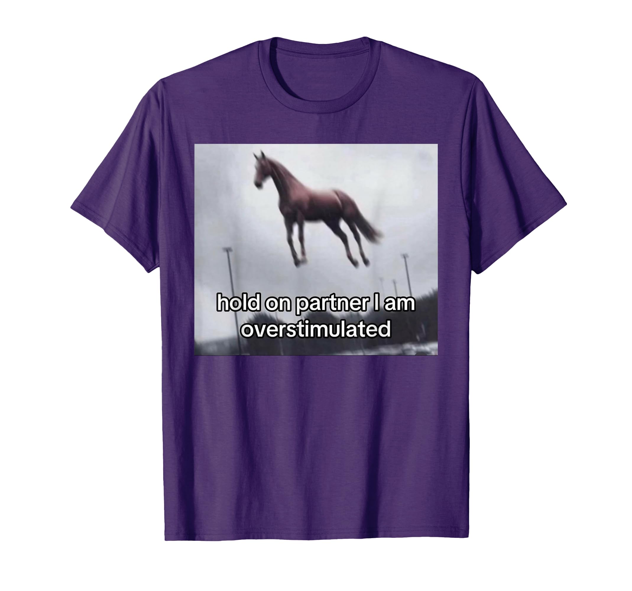 1977 Groovy Hold Partner Im T-Shirt - Graphic Print Men Women - T-Shirt, Sweatshirt, Hoodie