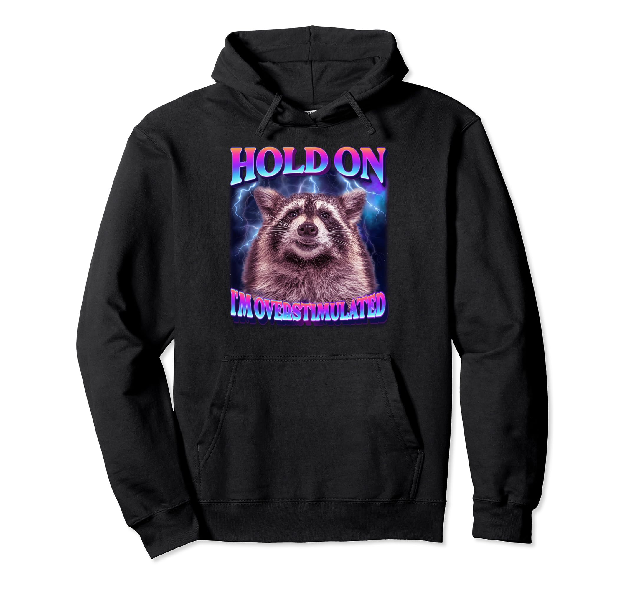 Hold Im Overstimulated Raccoon Funny Hoodie - Fun Novelty Design for Adults - T-Shirt, Sweatshirt, Hoodie