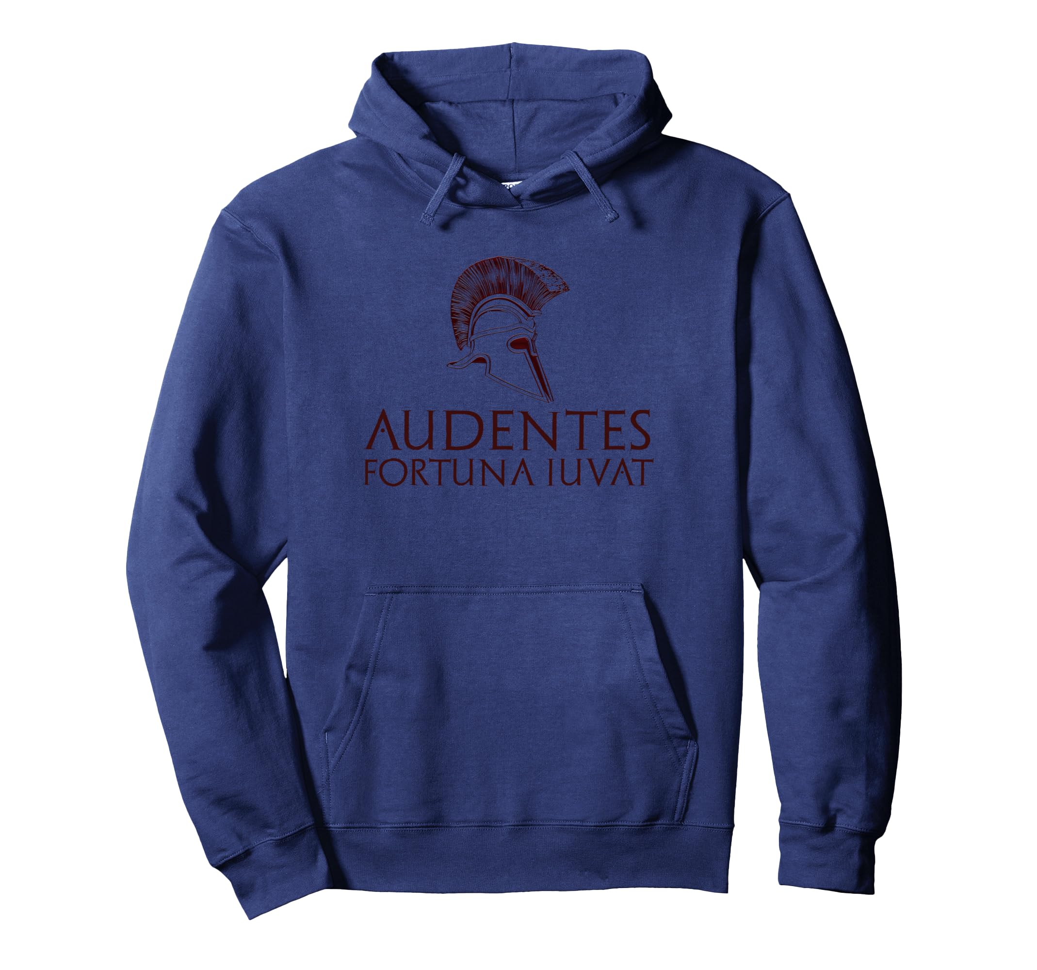 Fortune Favors Bold Classical Latin Hoodie - Custom Art Print for Adults - T-Shirt, Sweatshirt, Hoodie