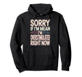 Sorry If Im Mean Im Overstimulated Hoodie - Unique Graphic for Adults - T-Shirt, Sweatshirt, Hoodie