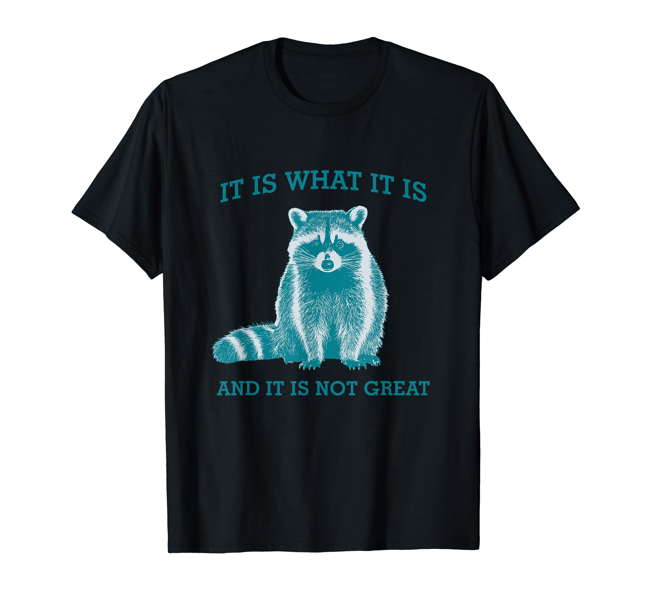 It Is What It Is And It Is Not Great T-Shirt - Novelty Apparel for Adults - T-Shirt, Sweatshirt, Hoodie