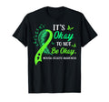 Its Okay To Not Be Okay Green T-Shirt - Casual Everyday Wear for Adults - T-Shirt, Sweatshirt, Hoodie