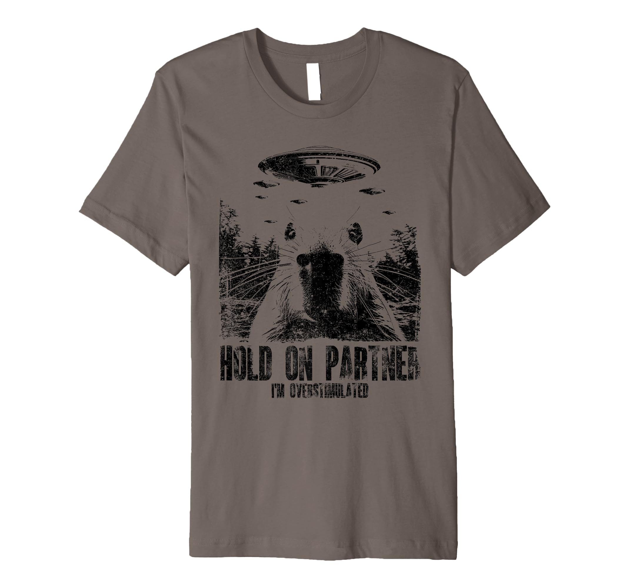 Hold Partner Funny Sarcastic T-Shirt - Fun Novelty Design for Adults - T-Shirt, Sweatshirt, Hoodie