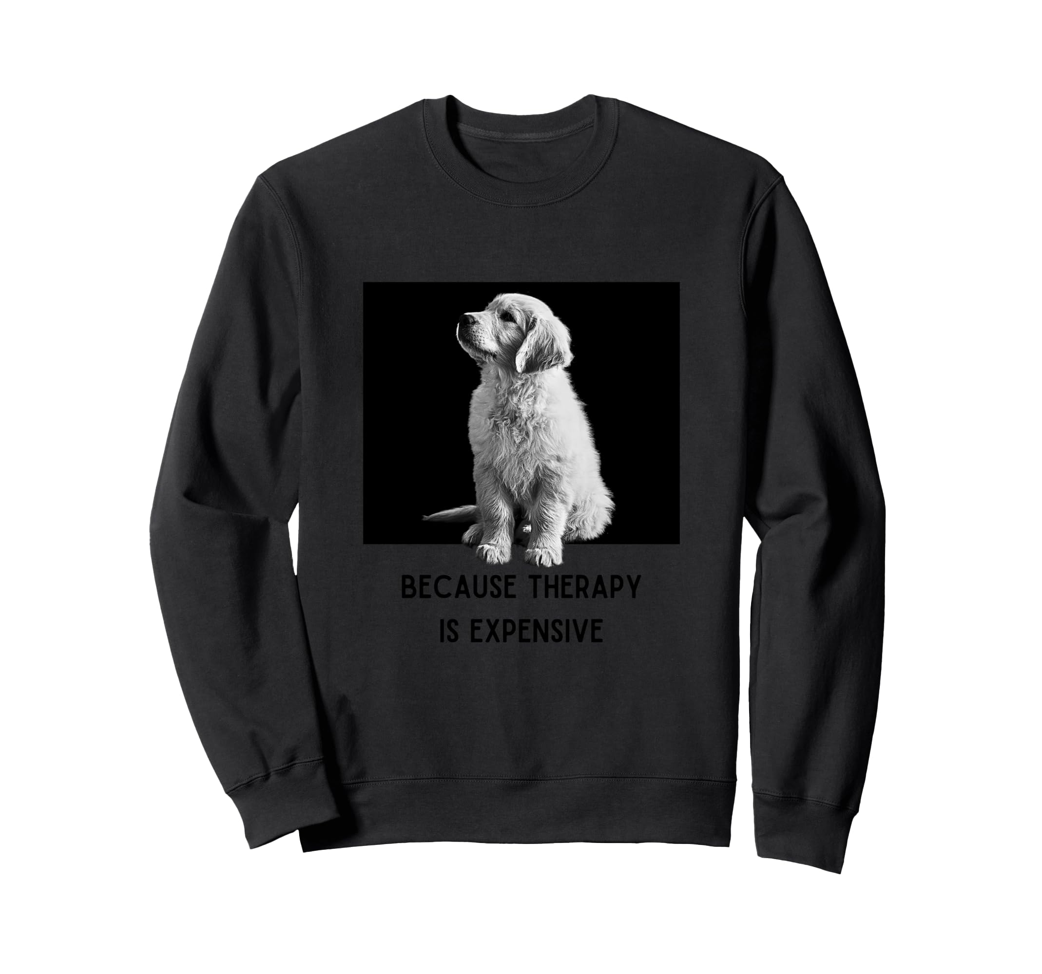 Therapy Dog Owner Dog Owner Sweatshirt - Casual Everyday Wear Men Women - T-Shirt, Sweatshirt, Hoodie