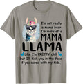I'm Not Really A Mama Bear By Merch Unisex T-shirt, Sweatshirt, Hoodie, Long Sleeve Tee - T-Shirt, Sweatshirt, Hoodie