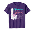 Trauma Lama Alpaca Nurse T-Shirt - Casual Everyday Wear Unisex - T-Shirt, Sweatshirt, Hoodie