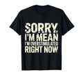 Sorry If Im Mean Im Overstimulated Right T-Shirt - Trendy Graphic Unisex - T-Shirt, Sweatshirt, Hoodie