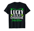 Lucky To Be Literature Teacher T-Shirt - Aesthetic Graphic for Adults - T-Shirt, Sweatshirt, Hoodie