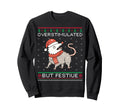 Overstimulated But Festive Possum Sweatshirt - Streetwear Style Unisex - T-Shirt, Sweatshirt, Hoodie