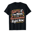 Sorry If Im Mean Im Overstimulated T-Shirt - Aesthetic Graphic Men Women - T-Shirt, Sweatshirt, Hoodie