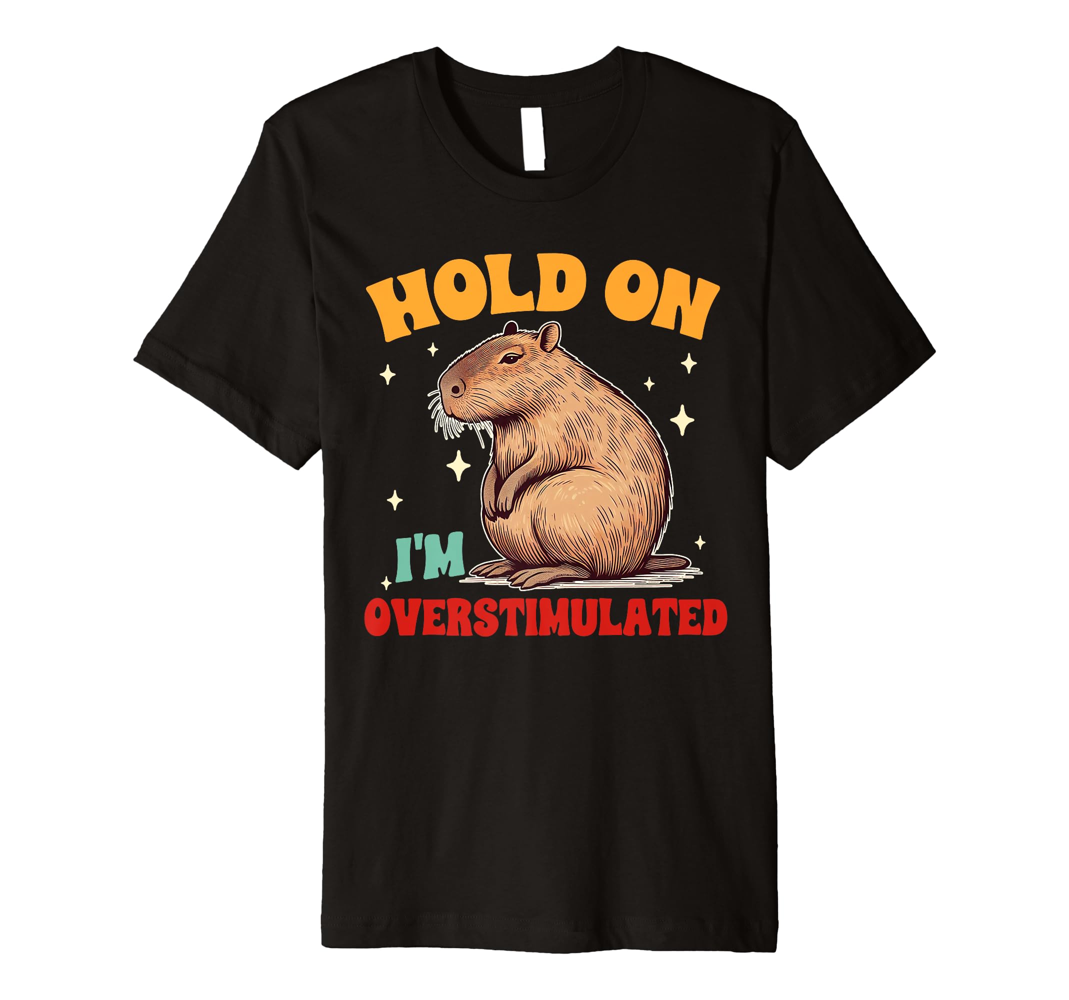 Capybara Lover Hold Im Overstimulated T-Shirt - Custom Art Print Unisex - T-Shirt, Sweatshirt, Hoodie