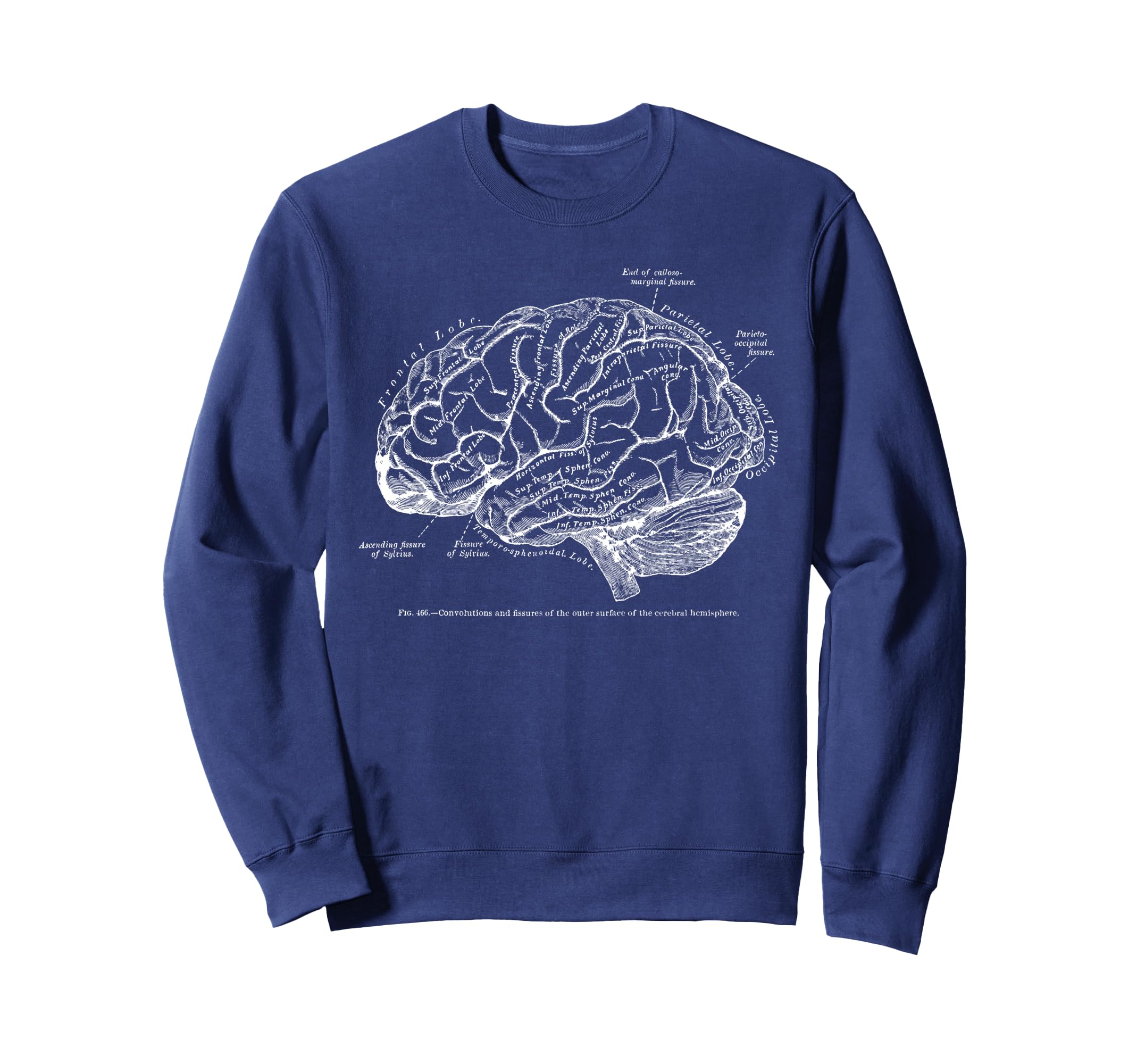Human Brain Anatomy Sweatshirt - Aesthetic Graphic Unisex - T-Shirt, Sweatshirt, Hoodie