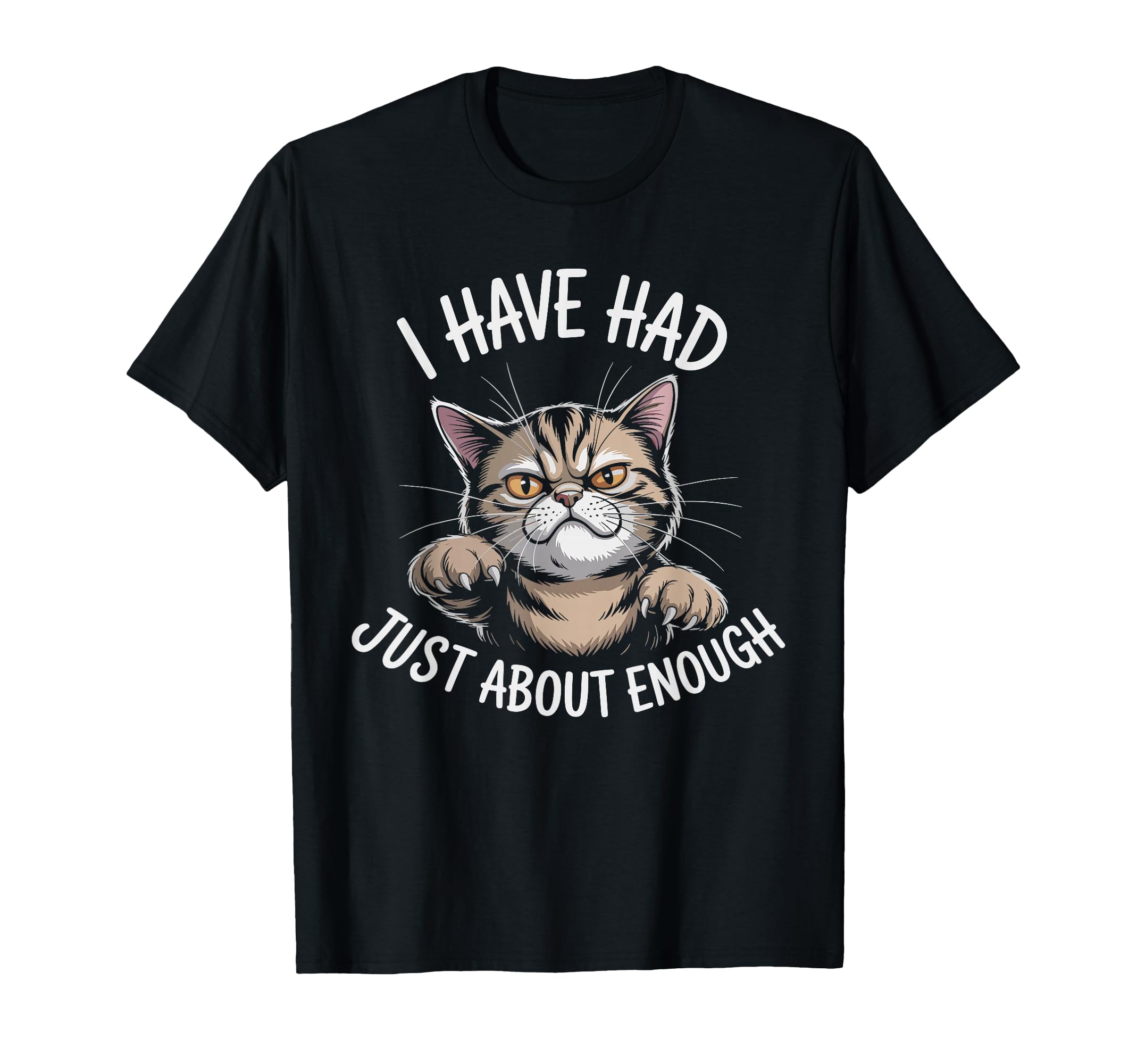 I Have Had Just About Enough Cat T-Shirt - Casual Everyday Wear Unisex - T-Shirt, Sweatshirt, Hoodie