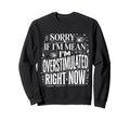 Sorry If Im Mean Im Overstimulated Sweatshirt - Trendy Graphic Men Women - T-Shirt, Sweatshirt, Hoodie