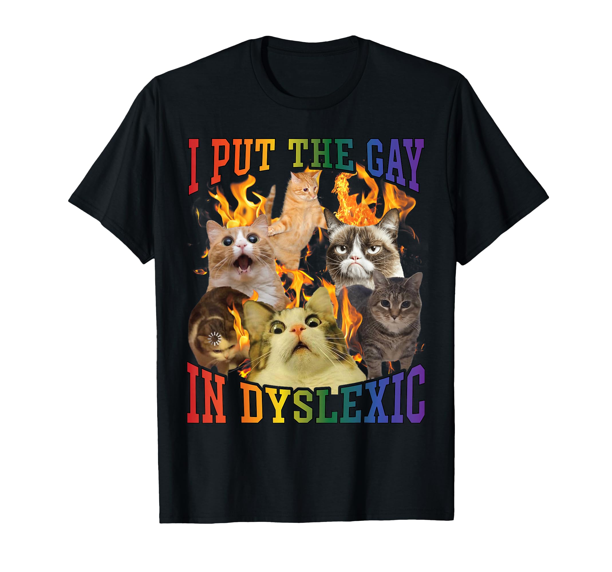 I Put Gay Dyslexic Funny Cat Meme T-Shirt - Streetwear Style for Adults - T-Shirt, Sweatshirt, Hoodie