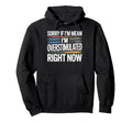 Sorry If Im Mean Im Overstimulated Right Hoodie - Novelty Apparel Unisex - T-Shirt, Sweatshirt, Hoodie