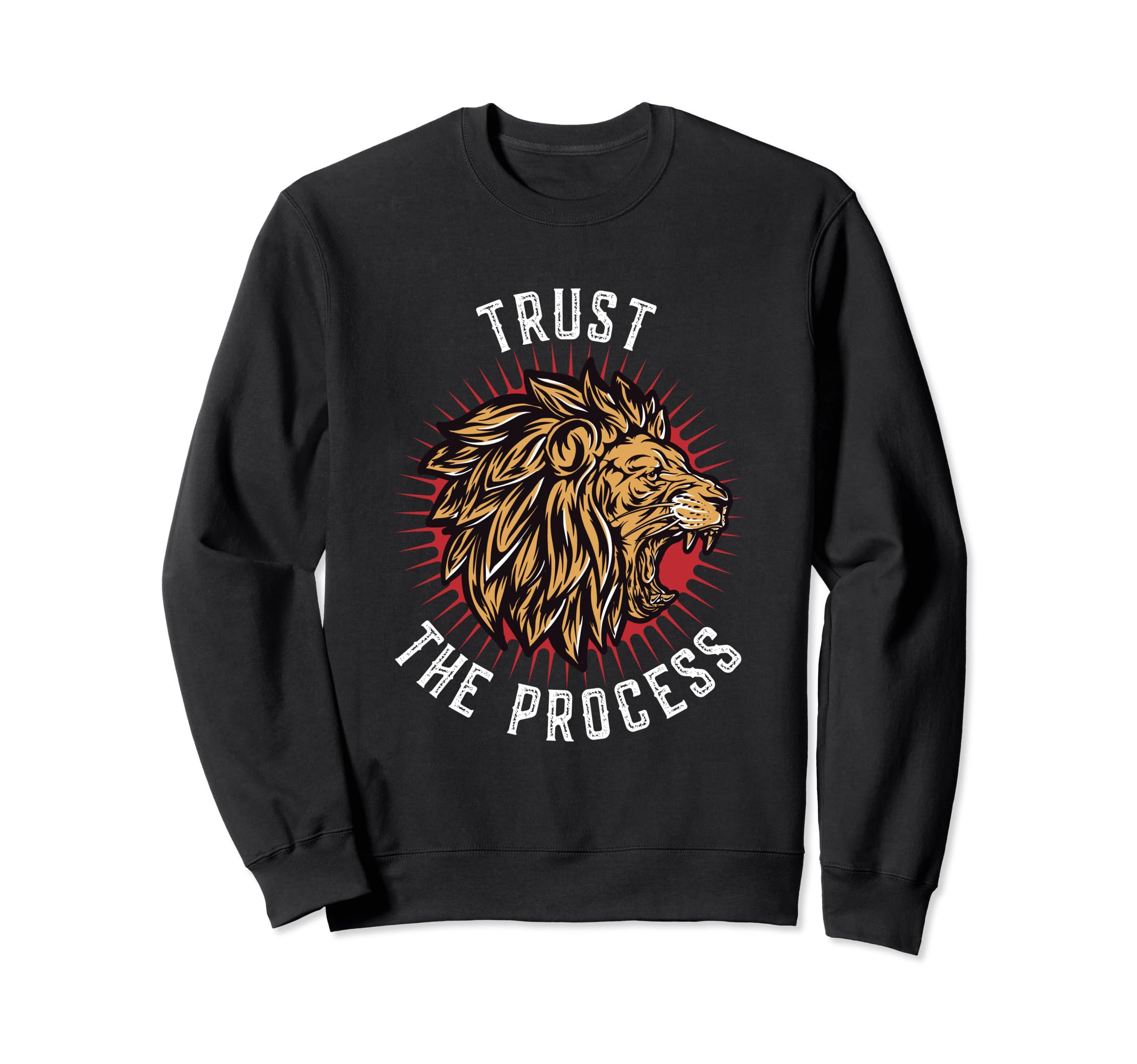Trust Process Motivational Gym Sweatshirt - Casual Everyday Wear for Adults - T-Shirt, Sweatshirt, Hoodie